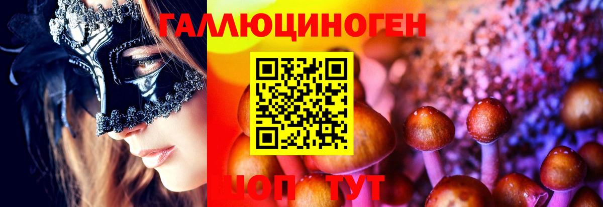 Галлюциногенные грибы Psilocybine cubensis Курчалой